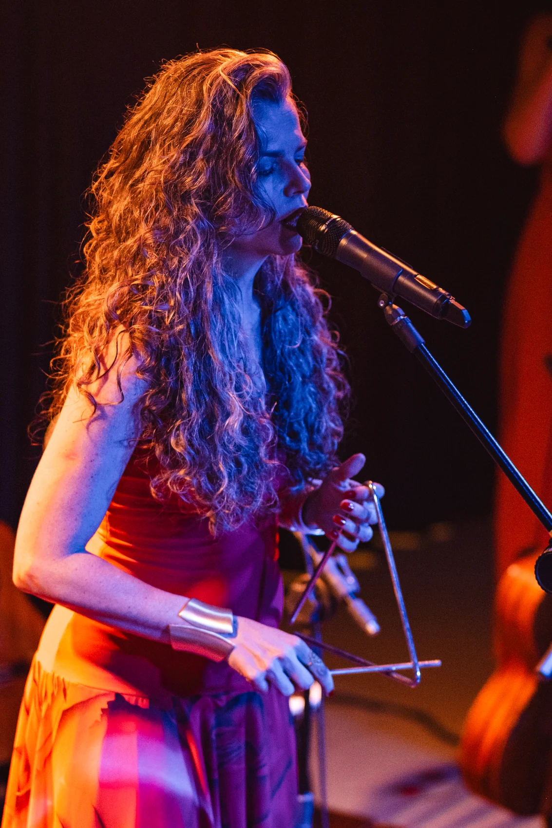 Vivian Amarante no show Costurando